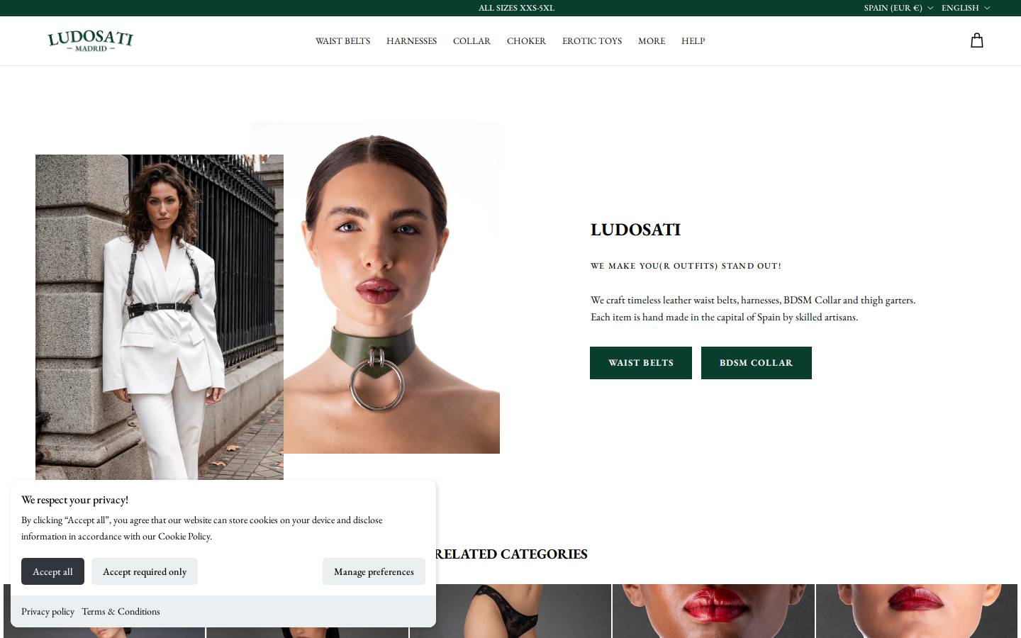 ludosati.com homepage screenshot