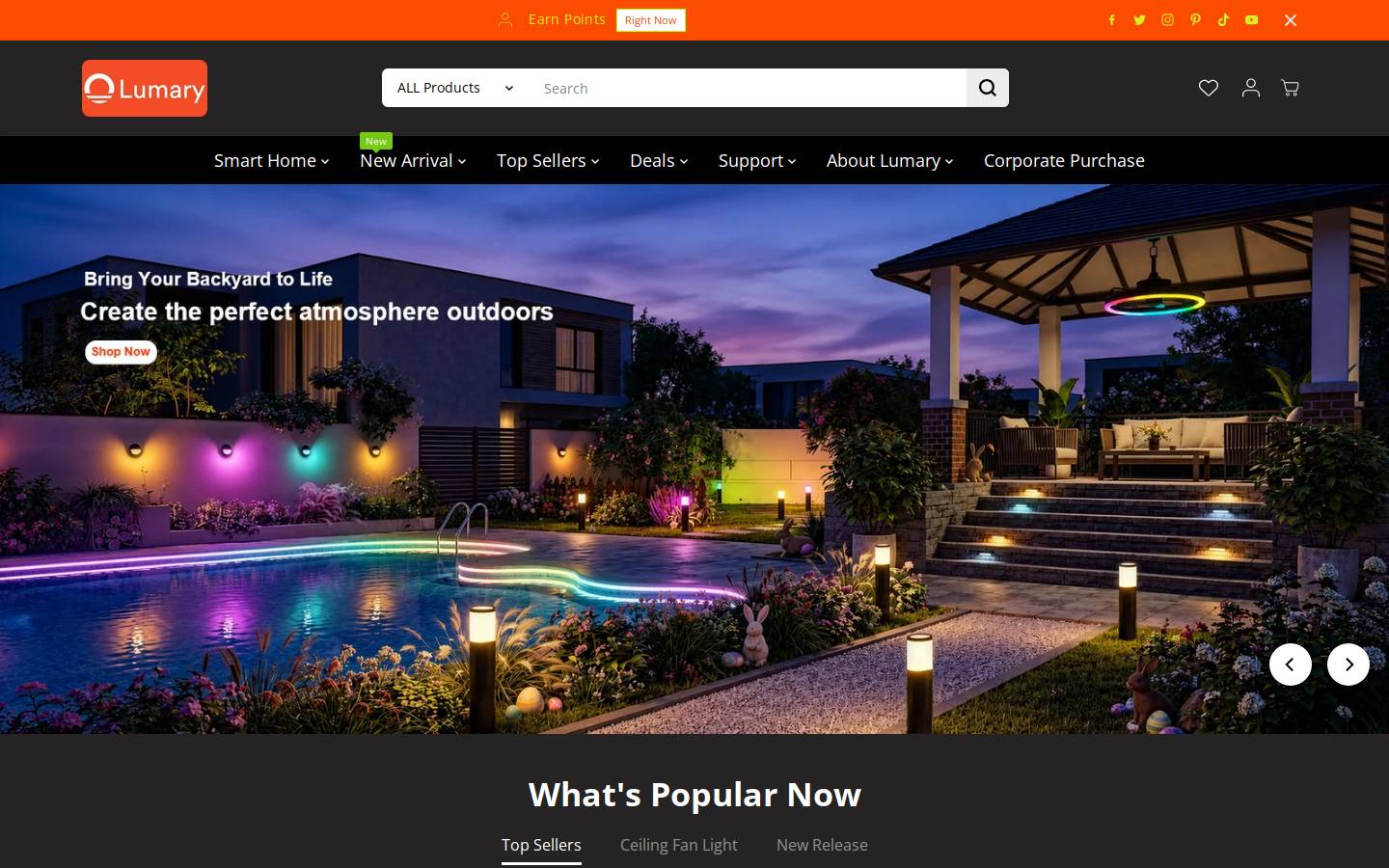 Lumarysmart homepage screenshot