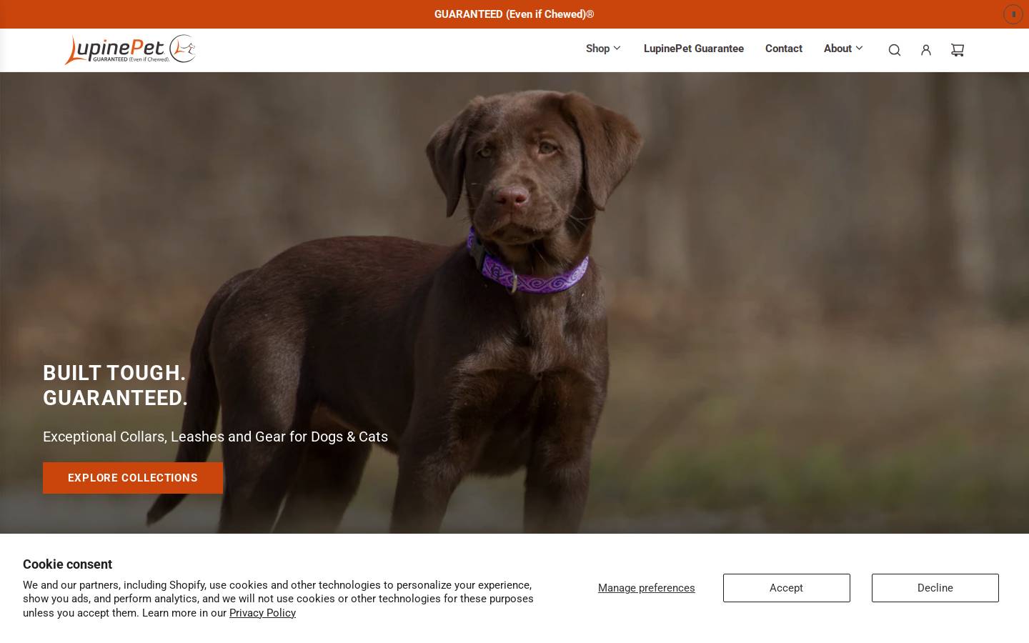 Lupine Inc homepage screenshot