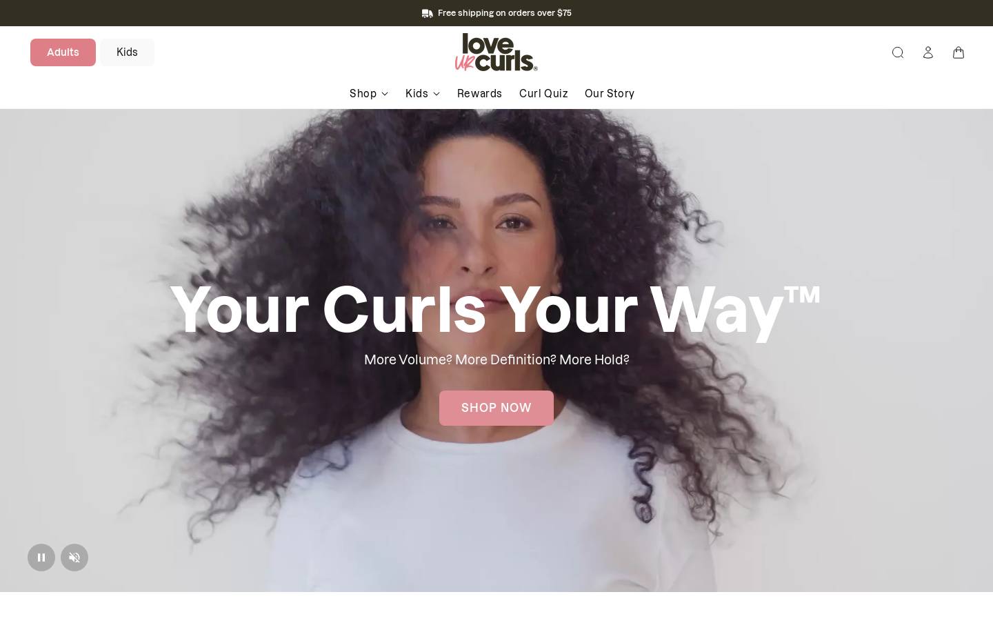 LUS Brands homepage screenshot