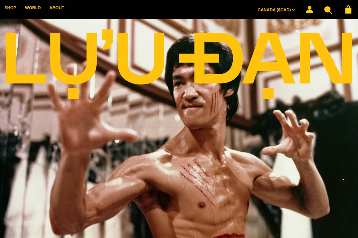 luu-dan.com homepage screenshot