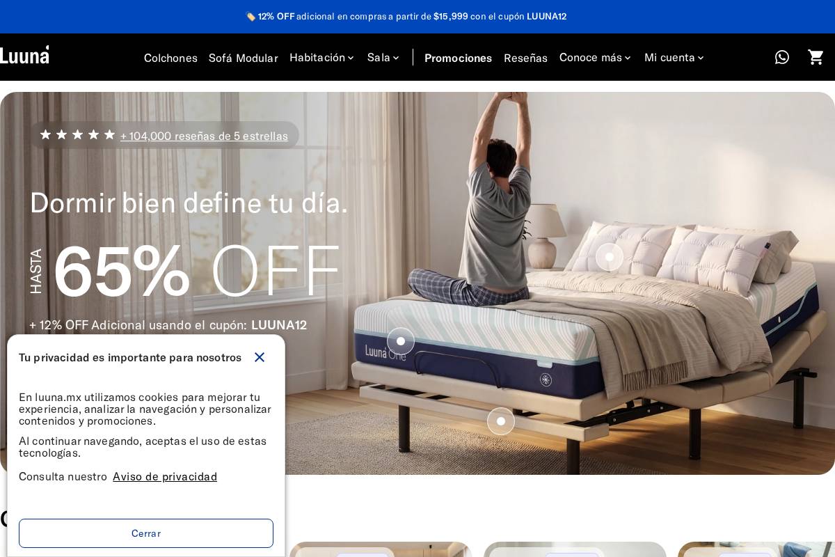 luuna.mx homepage screenshot