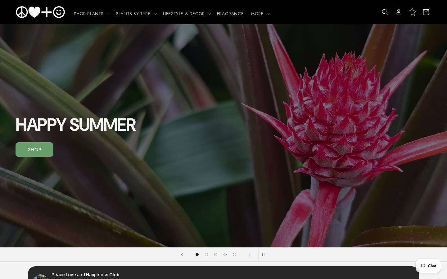 luxenichefragrance.com homepage screenshot
