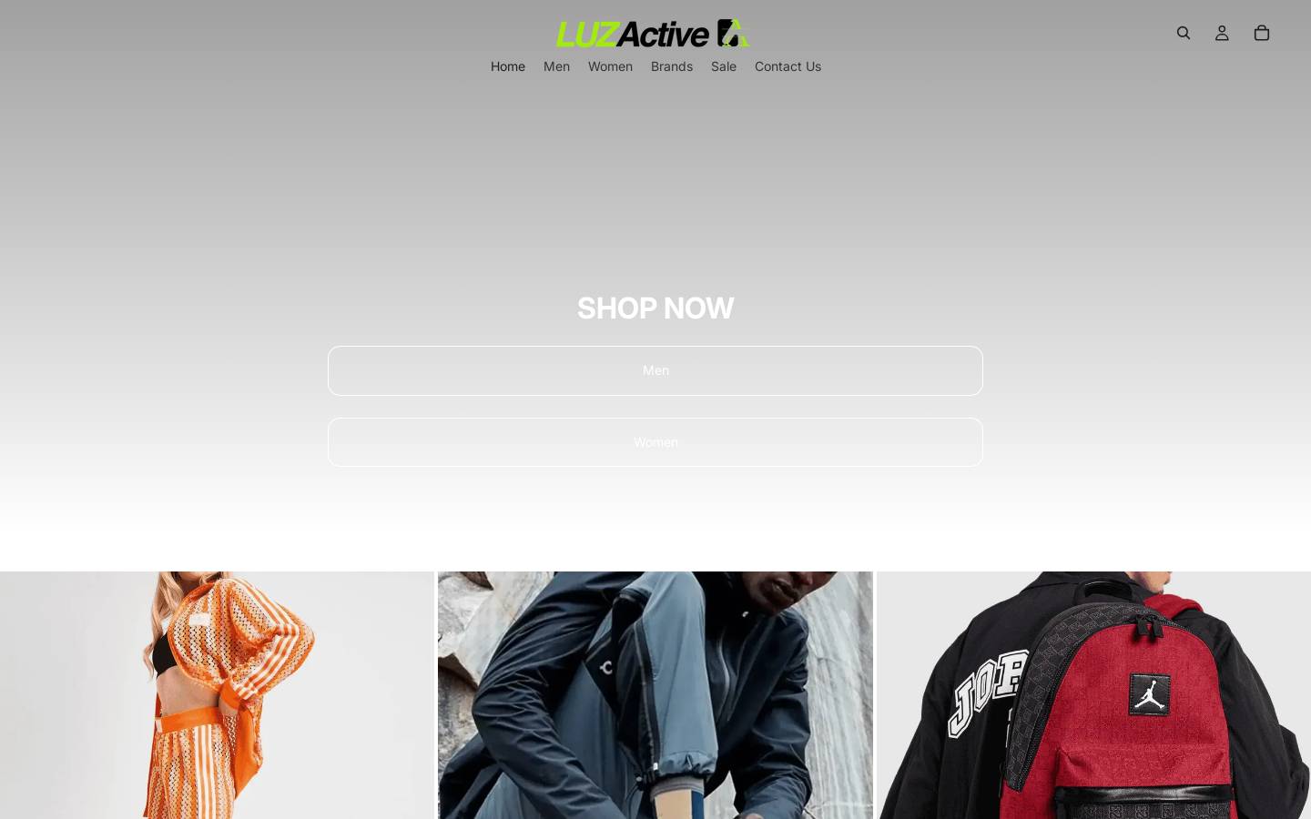 LUZActive homepage screenshot