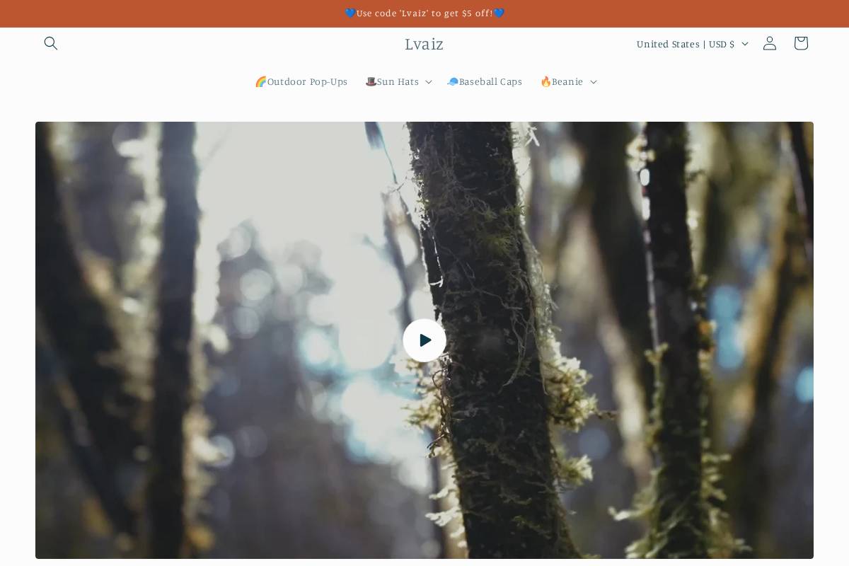 lvaiz.us homepage screenshot