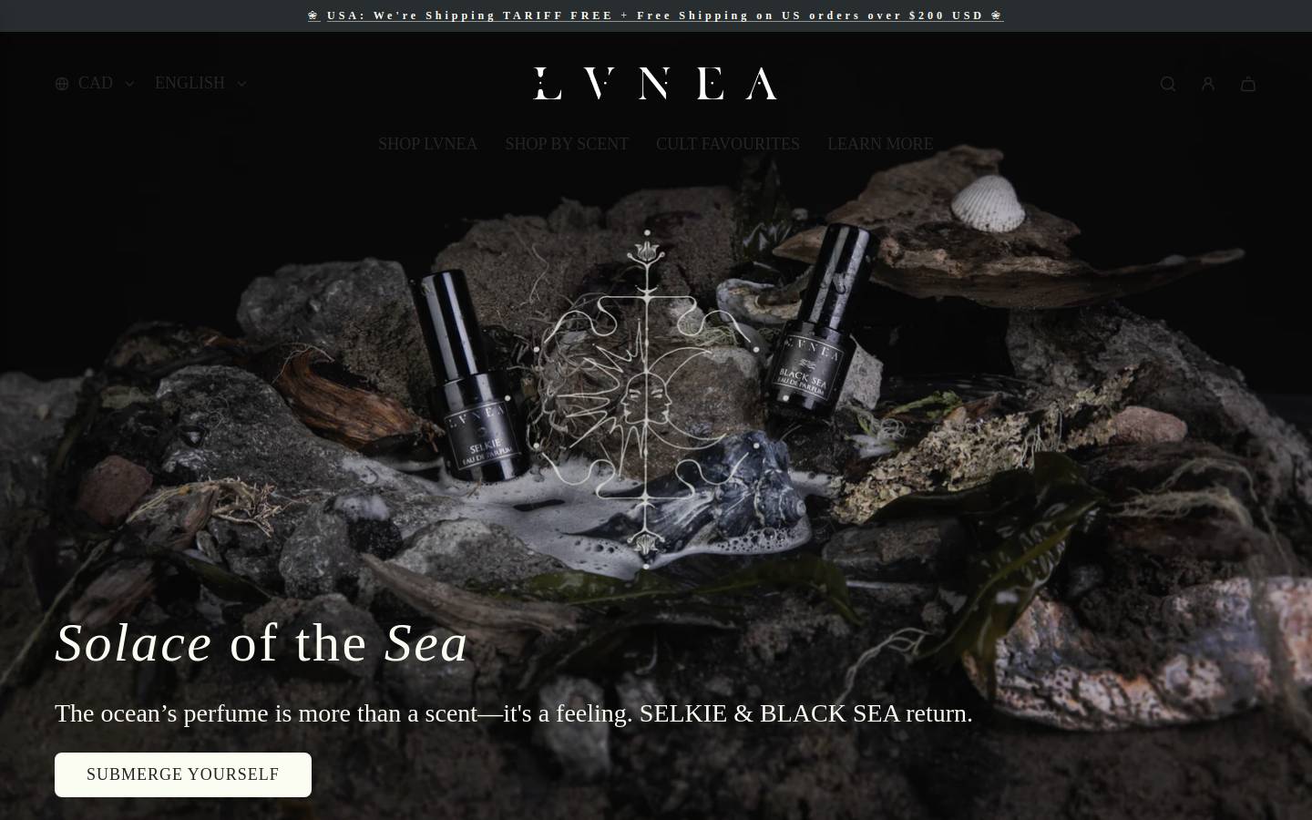 lvnea.ca homepage screenshot