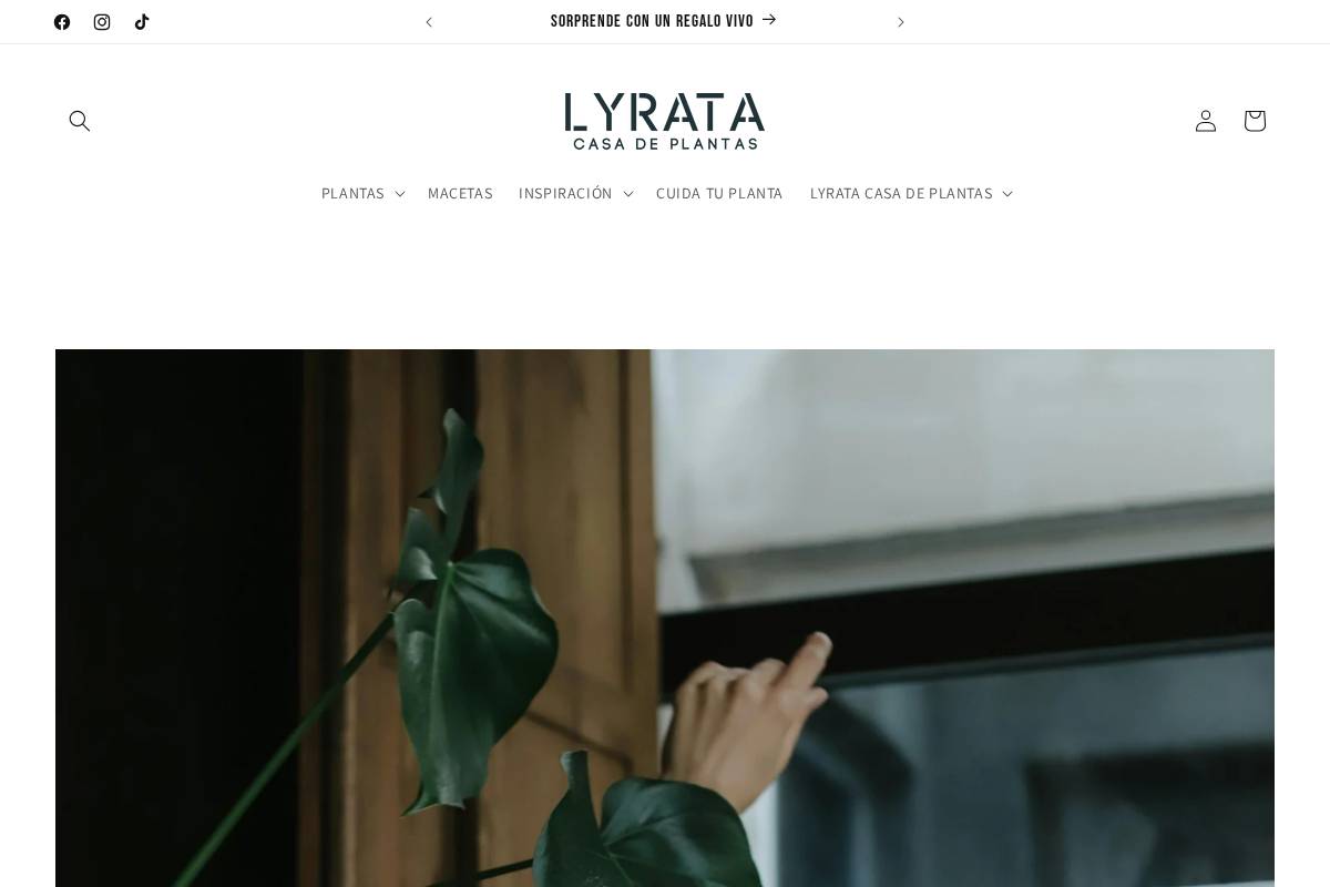 lyrata.com homepage screenshot