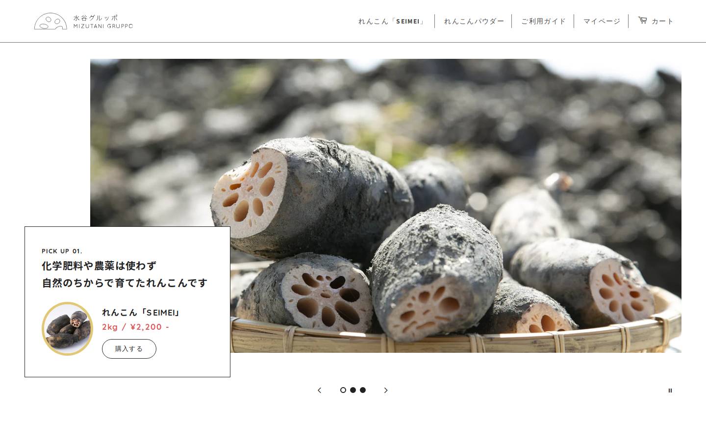 m-gruppo.com homepage screenshot