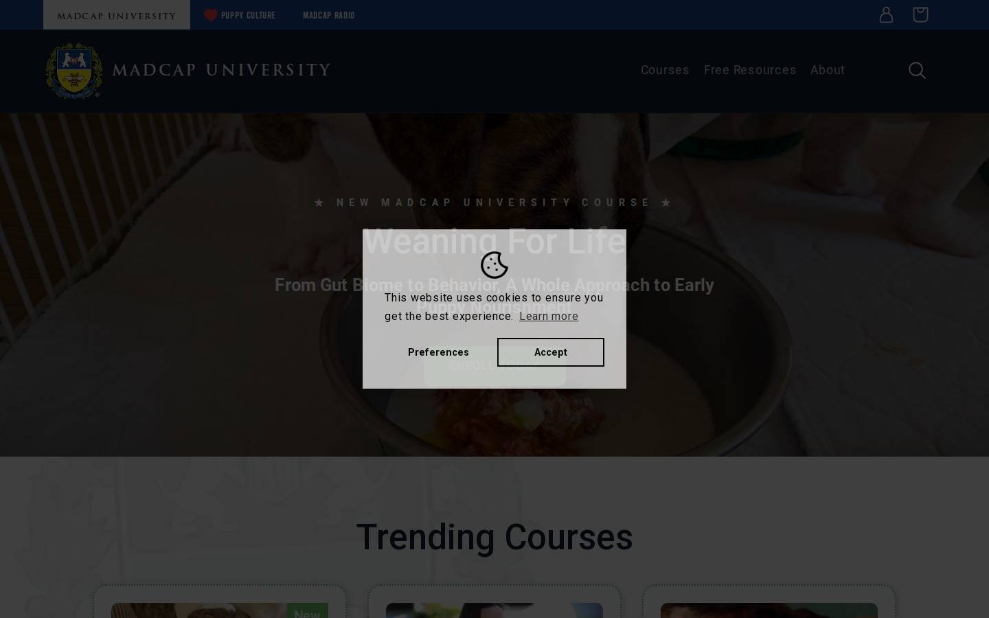 madcapuniversity.com homepage screenshot