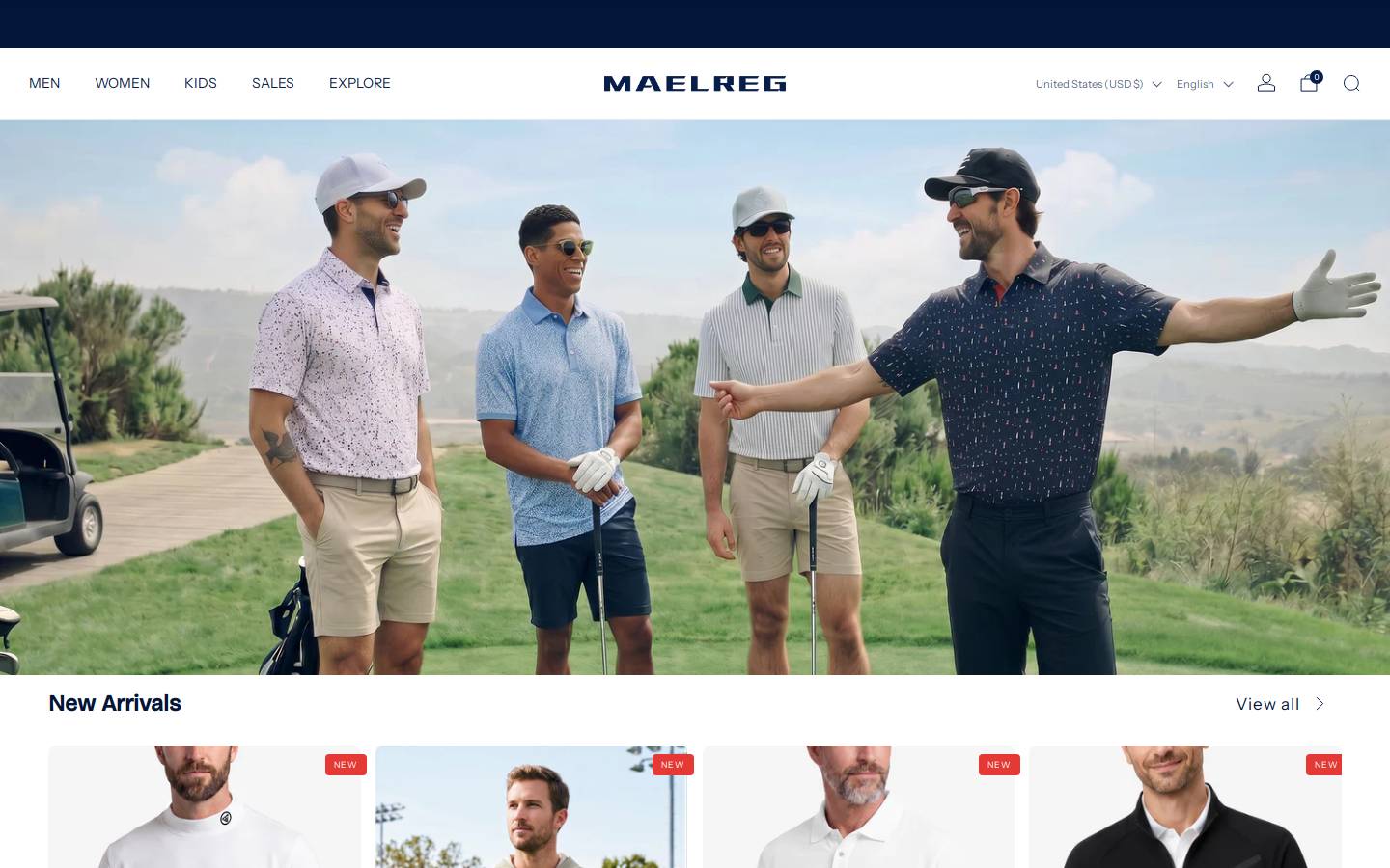 Maelreg homepage screenshot