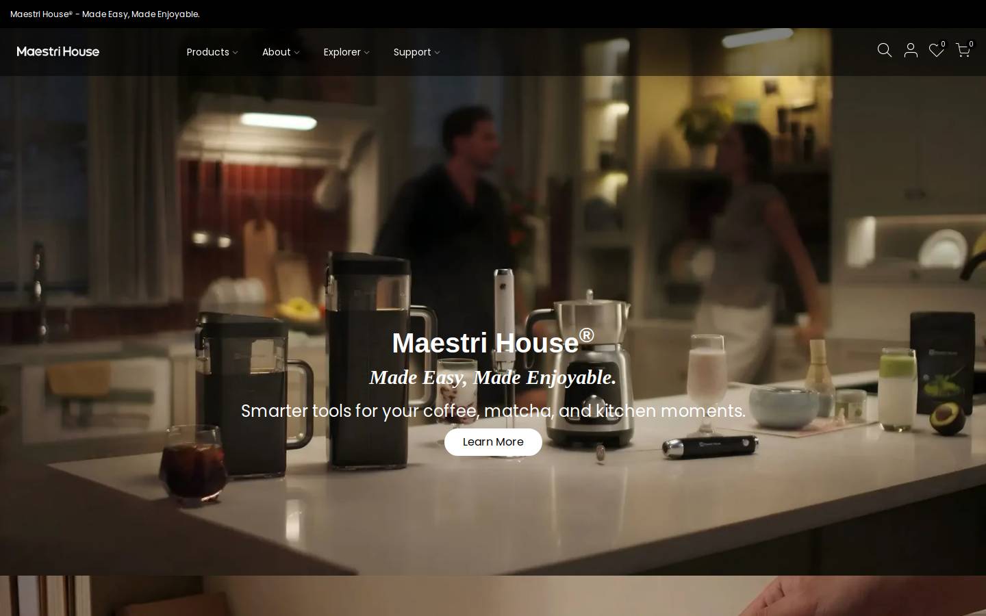 Maestrihouse homepage screenshot