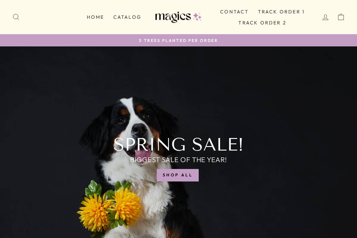 Magicswear homepage screenshot