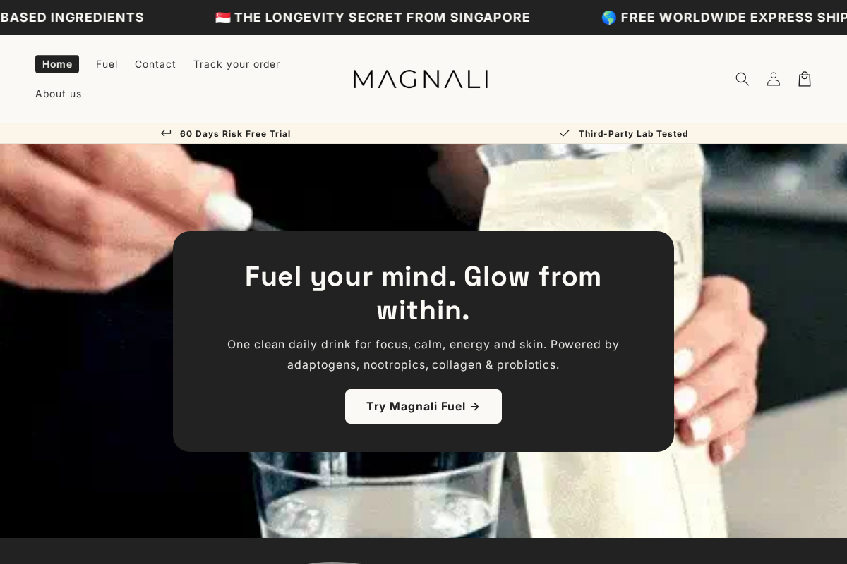 Magnali homepage screenshot
