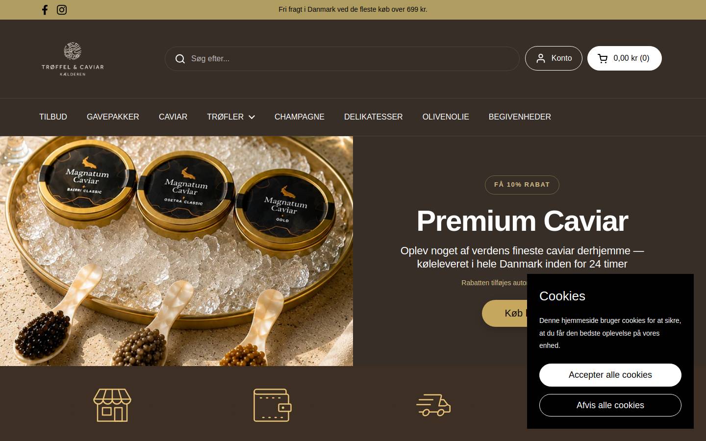 MAGNATUM APS homepage screenshot