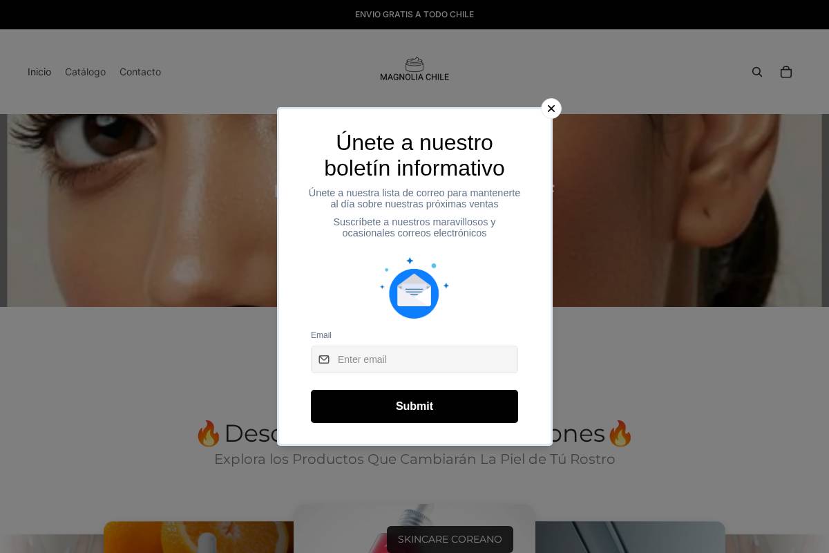 magnoliachile.com homepage screenshot