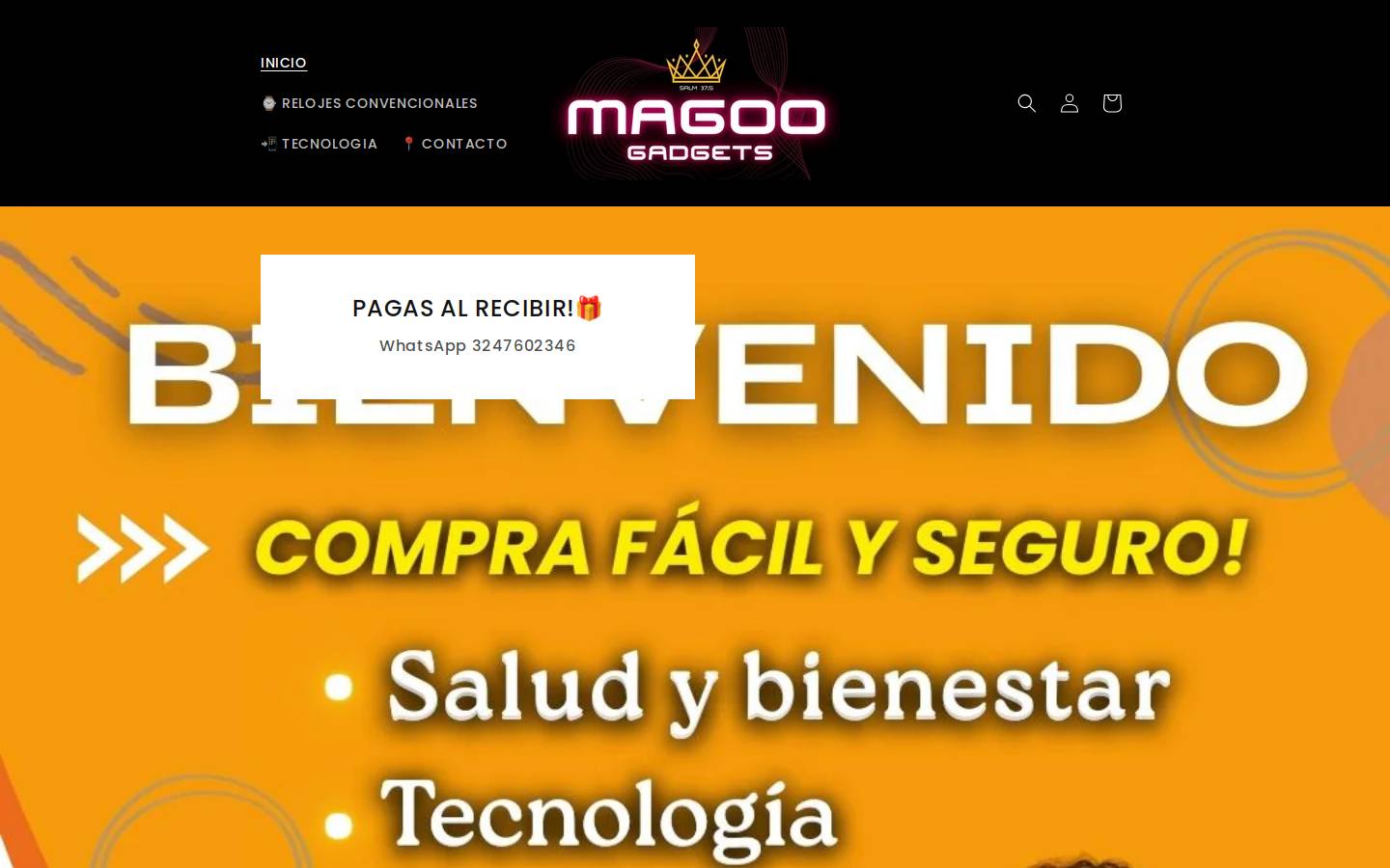 magoogadgets.com homepage screenshot