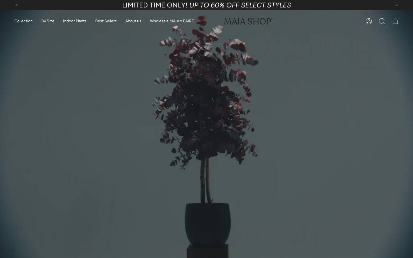 Maia Shop homepage screenshot