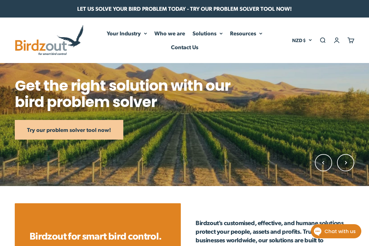 Birdzout homepage screenshot