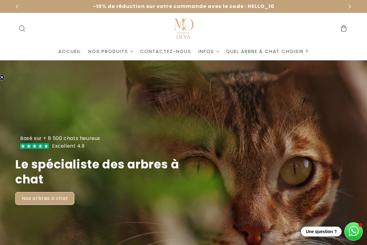 Maison Olya homepage screenshot