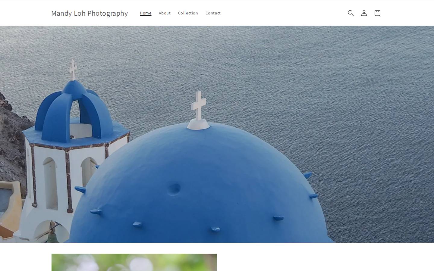 mandyloh.photography homepage screenshot