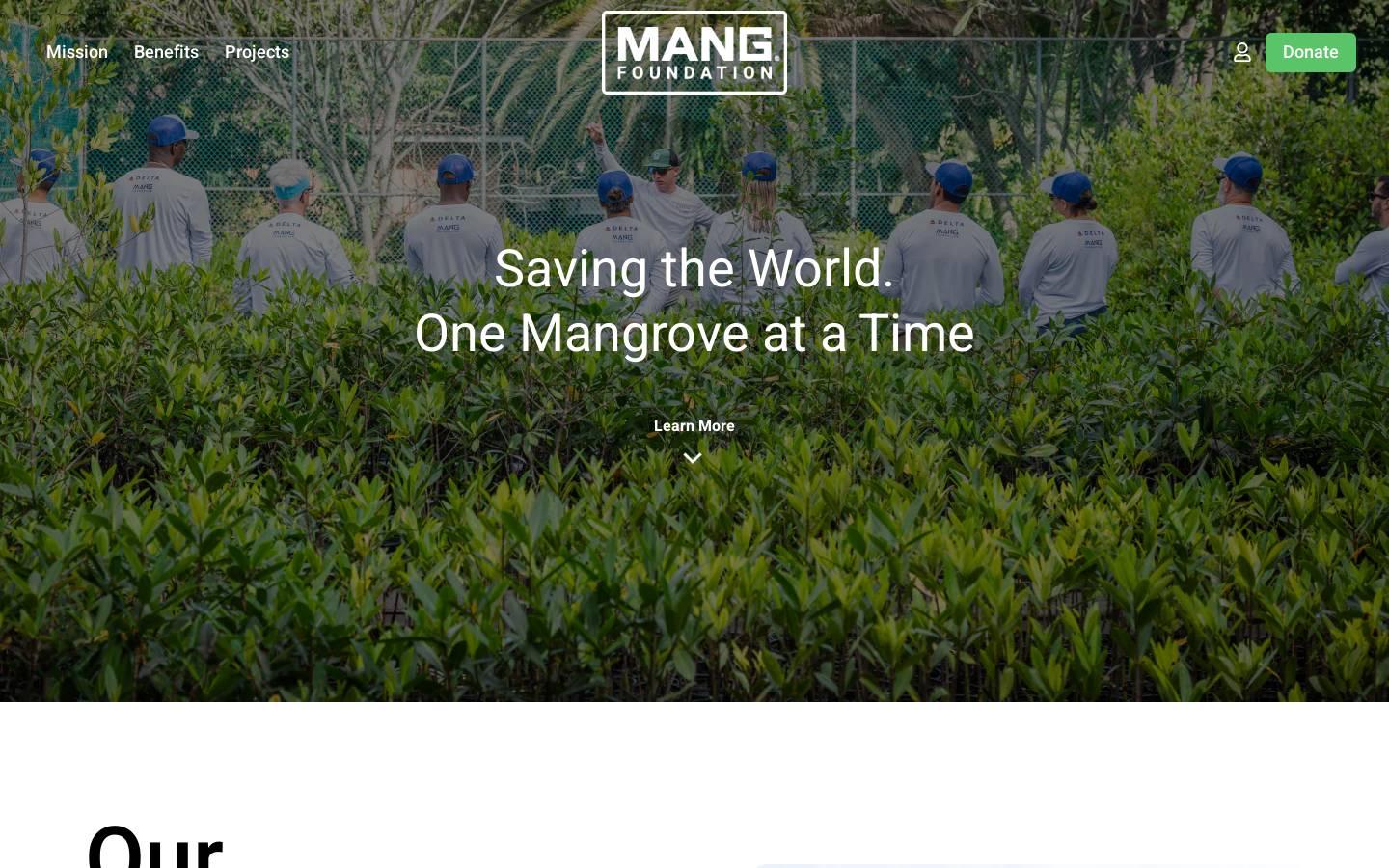 mangfoundation.org homepage screenshot