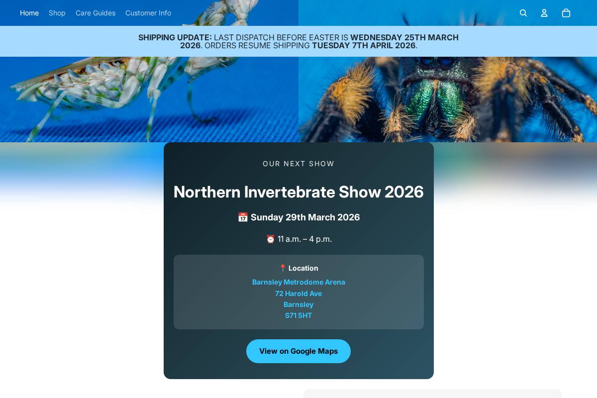 Mantis Mayhem homepage screenshot