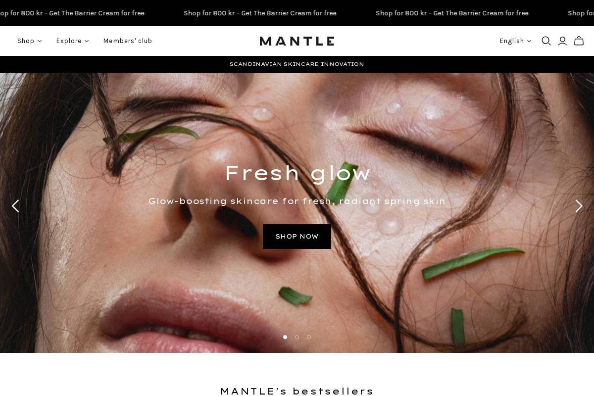 Mantleskin homepage screenshot