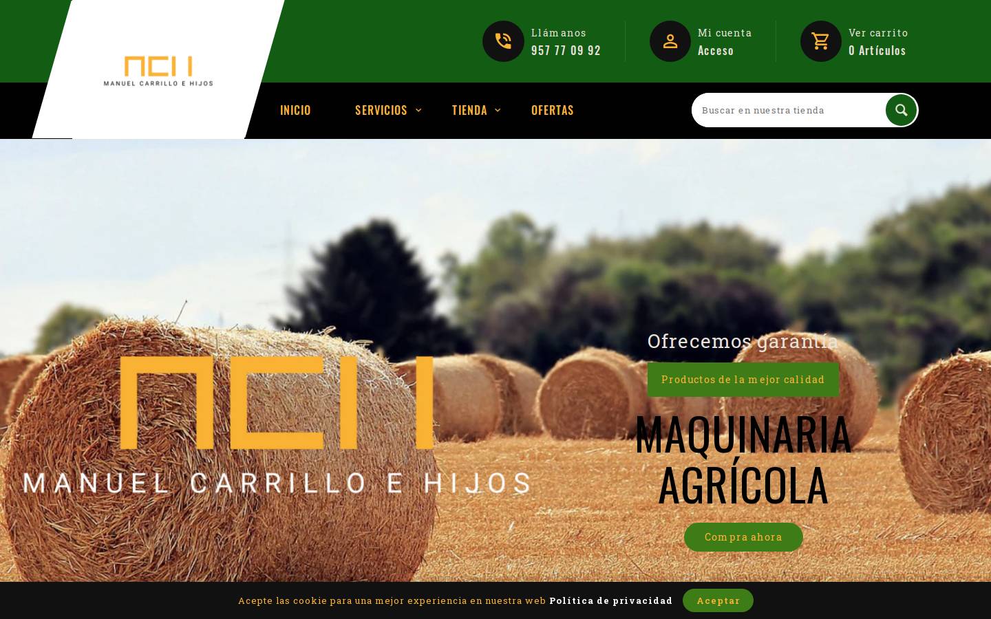 manuelcarrilloehijos.es homepage screenshot