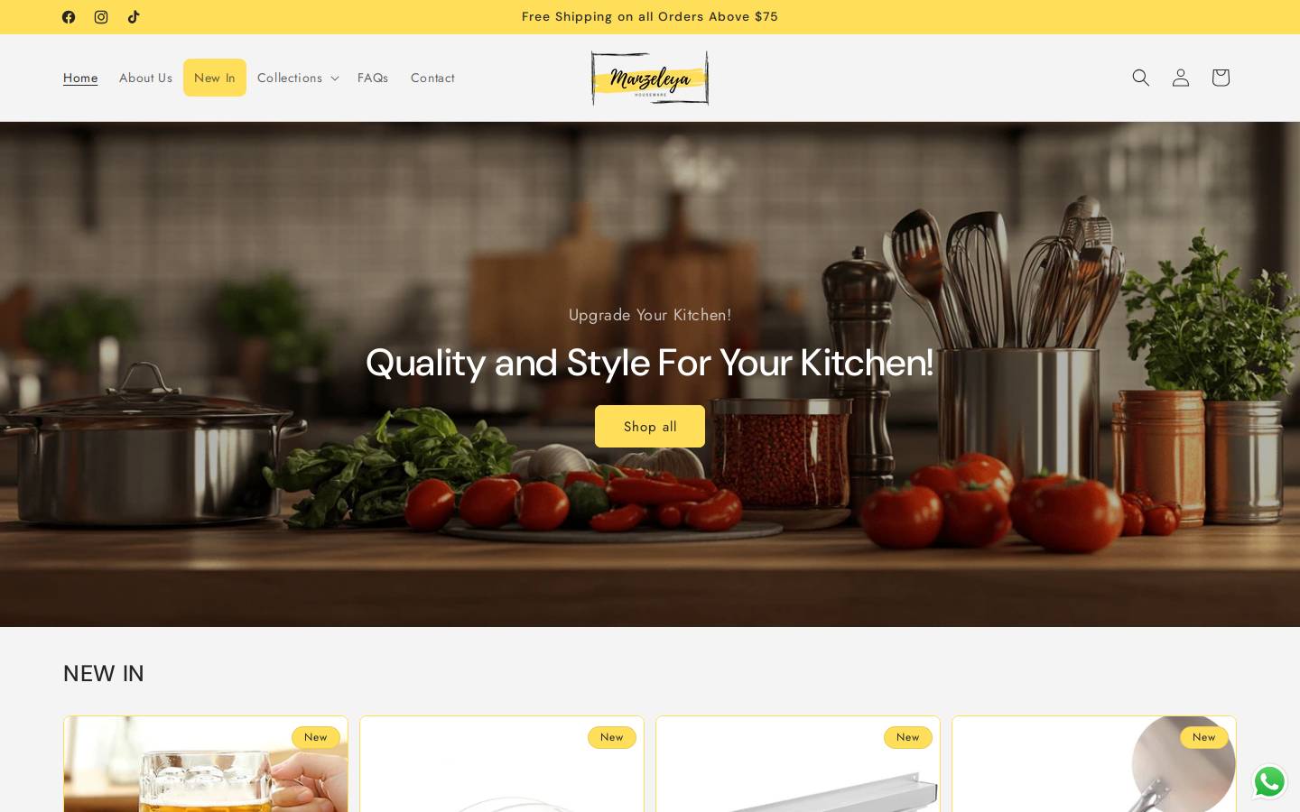 manzeleya.com homepage screenshot
