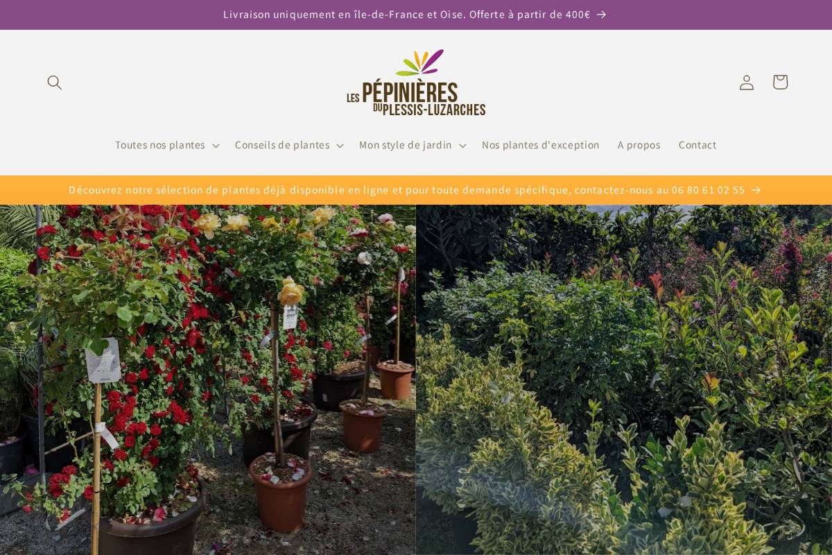 Mapepiniere homepage screenshot