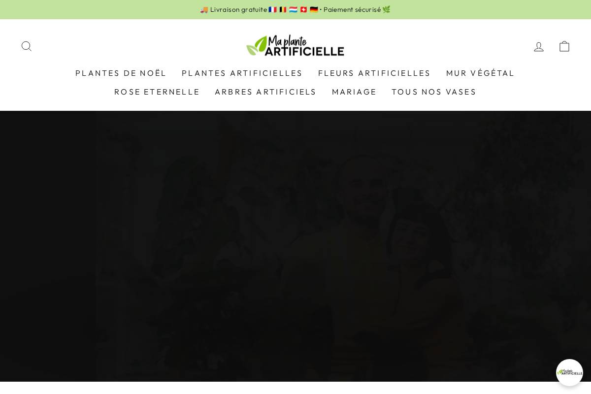 Maplanteartificielle homepage screenshot