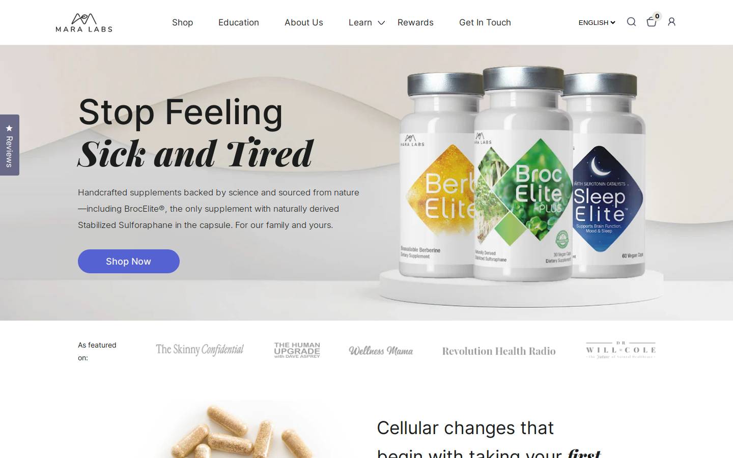 Mara Labs homepage screenshot