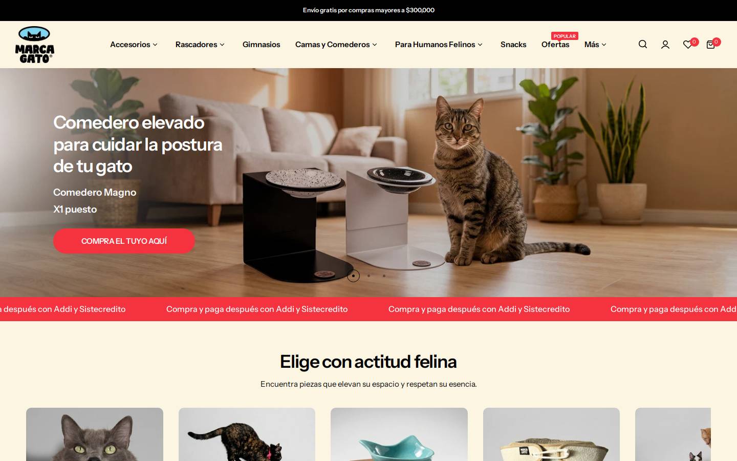 marcagato.co homepage screenshot