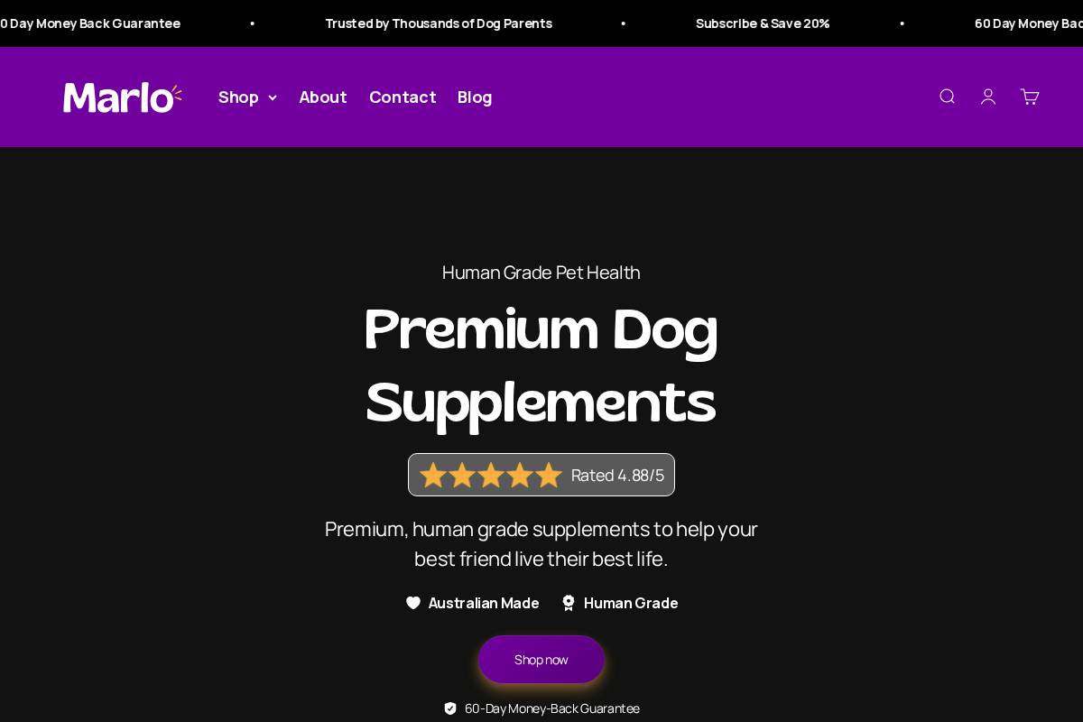 HiDogi homepage screenshot