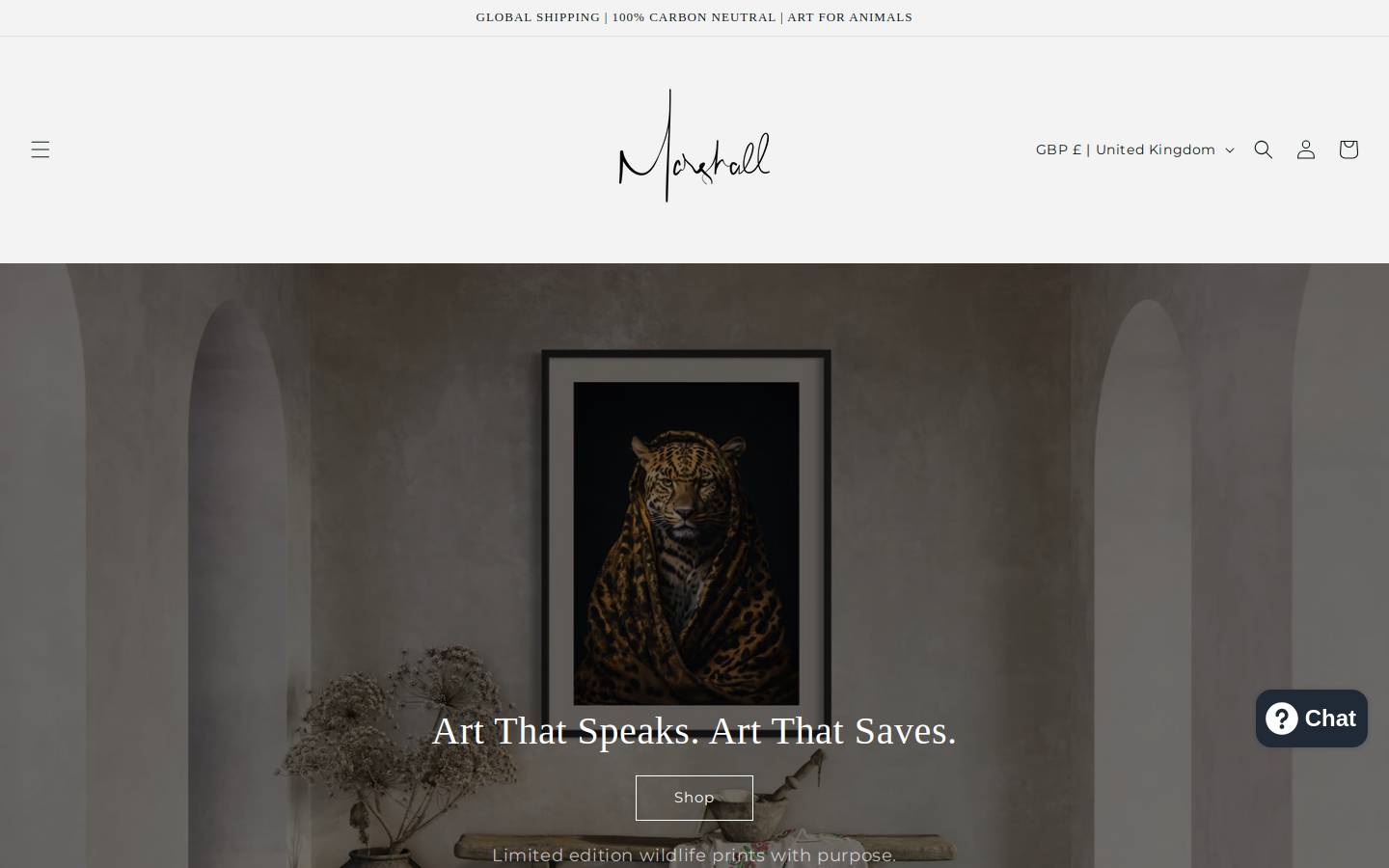 Marshall homepage screenshot