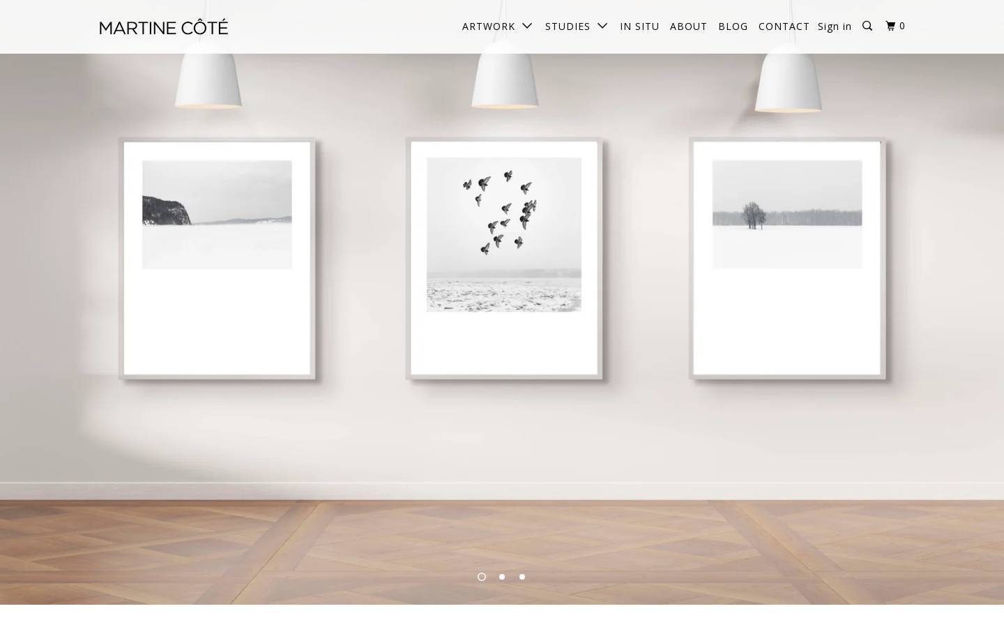 martinecotegallery.com homepage screenshot
