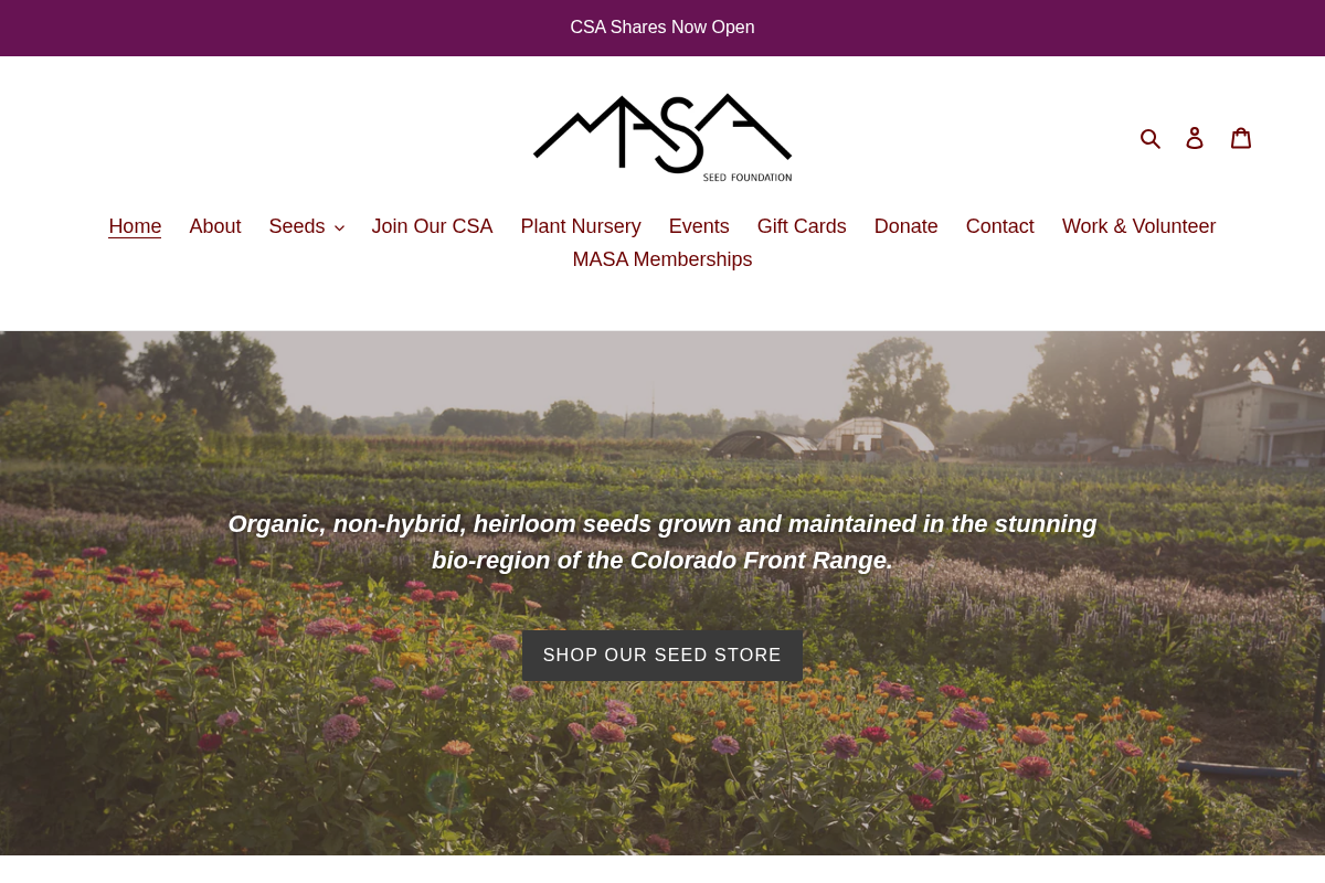 masaseedfoundation.org homepage screenshot