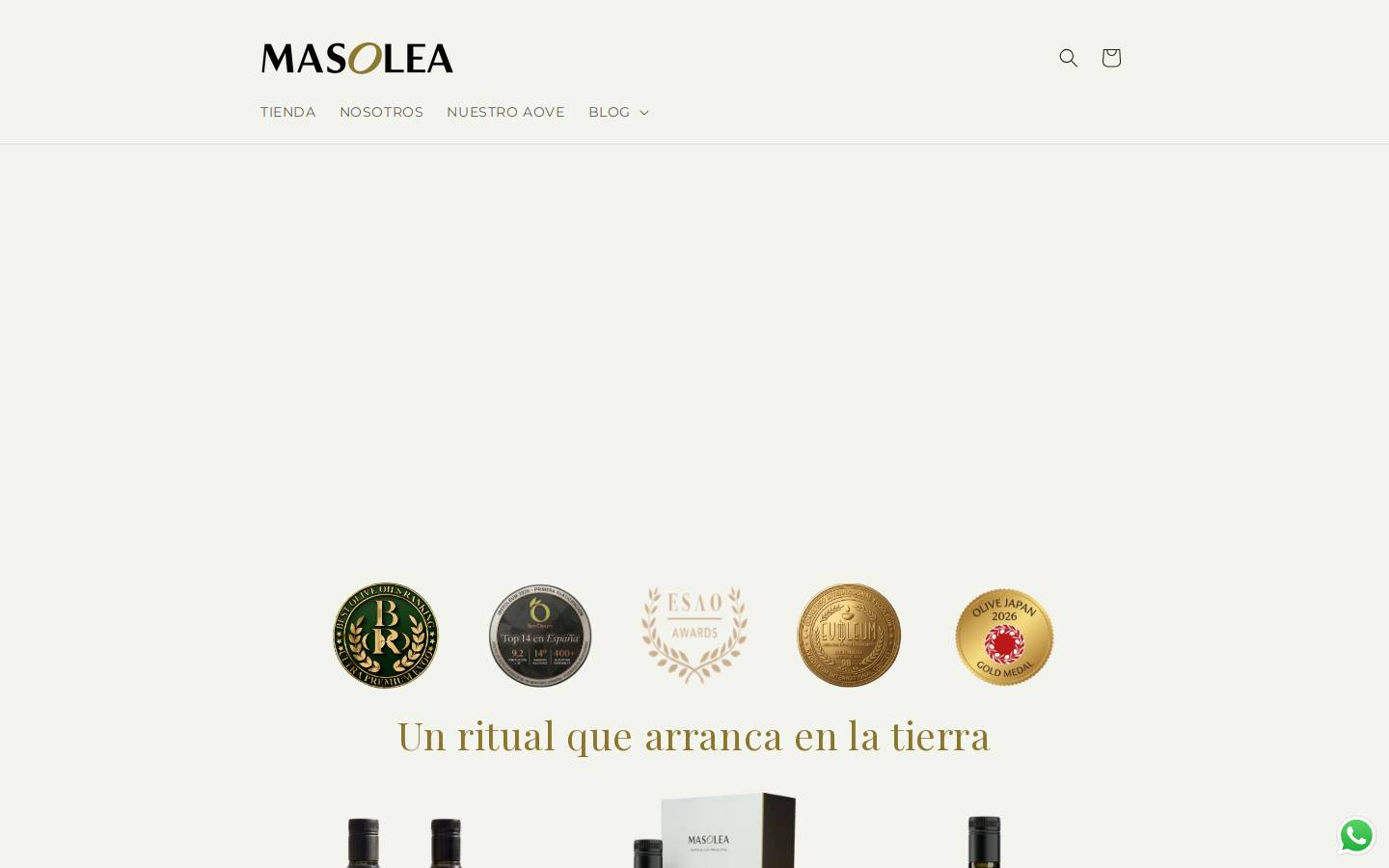MASOLEA homepage screenshot