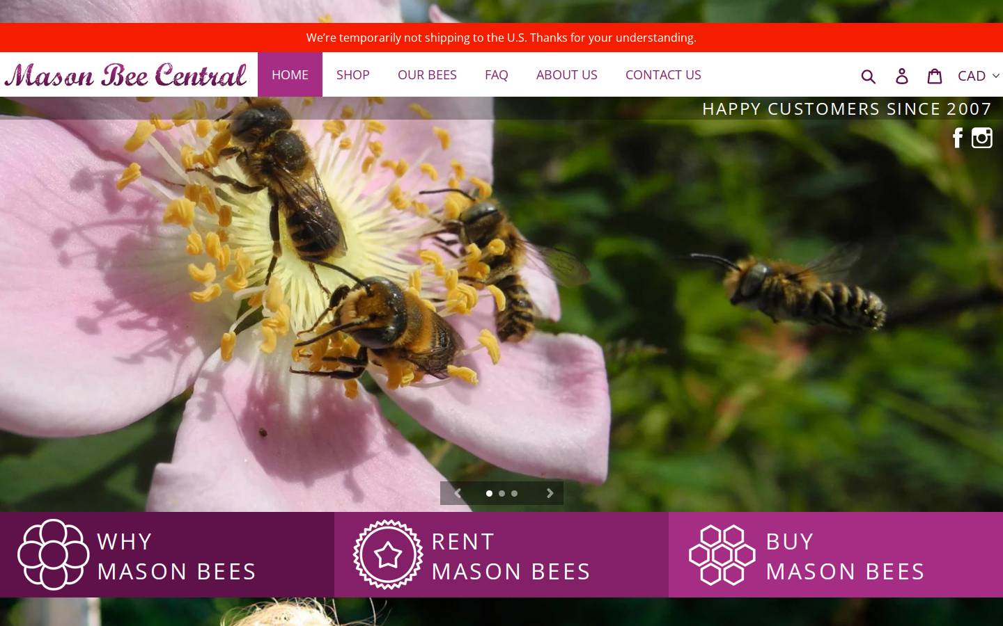 masonbeecentral.ca homepage screenshot