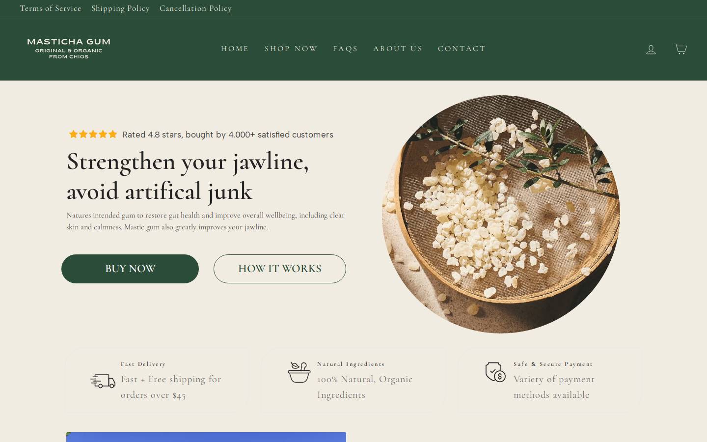 mastichagum.nl homepage screenshot