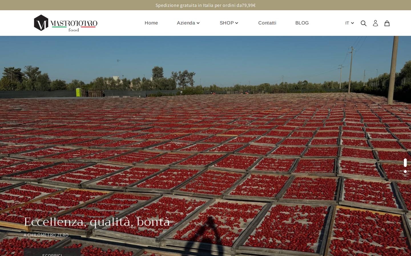 mastrototaro.org homepage screenshot