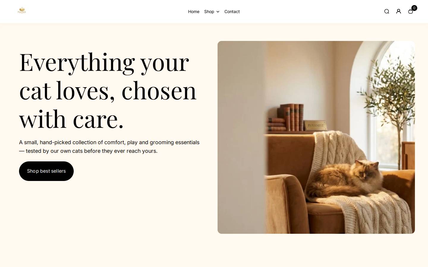 Matchnest homepage screenshot