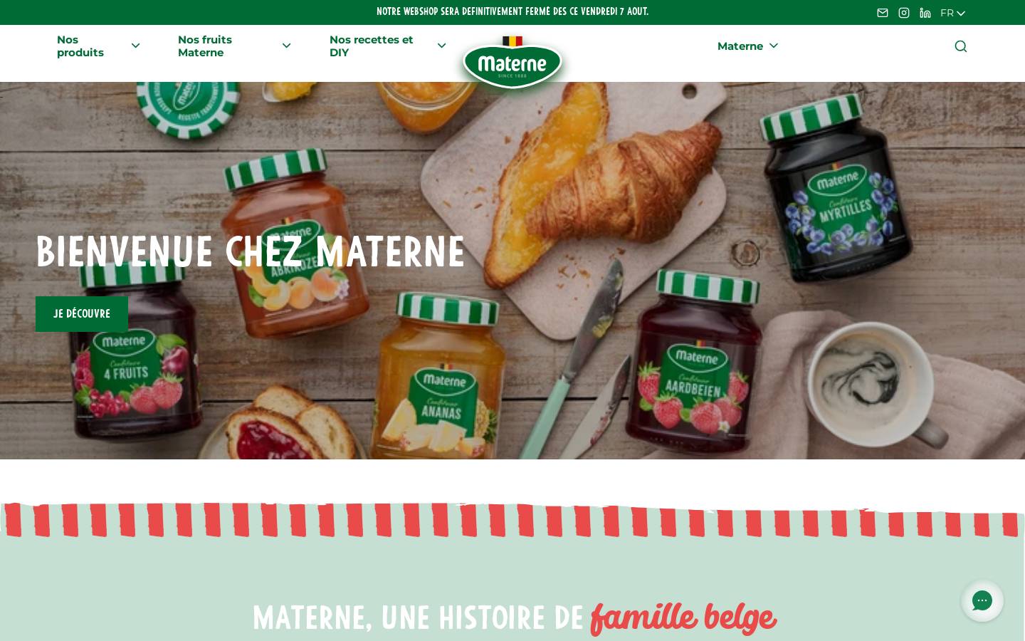 materne.be homepage screenshot