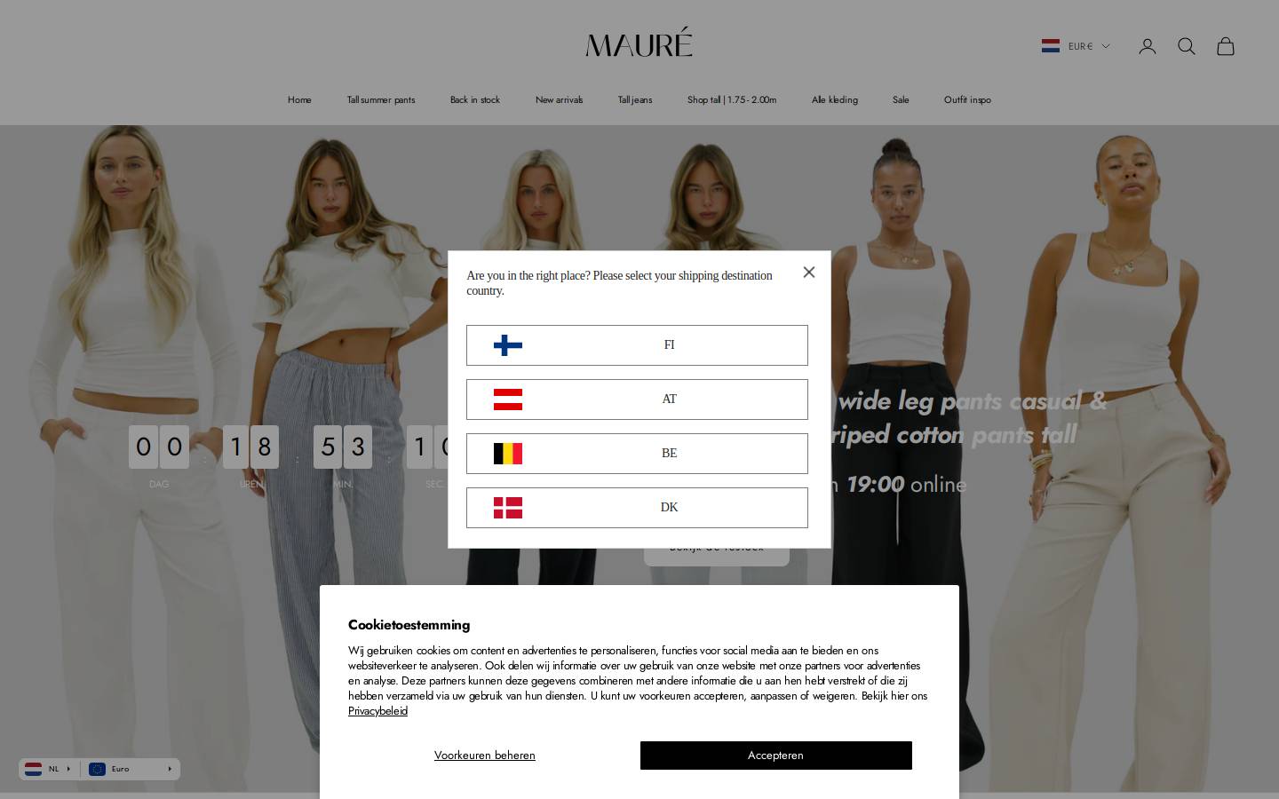 Mauré B.V. homepage screenshot