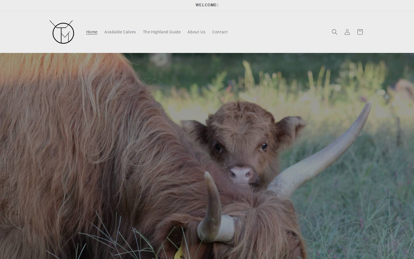 maynardstriplem.com homepage screenshot