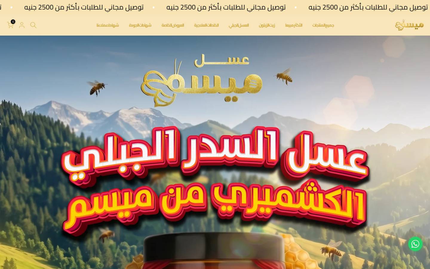 maysam-eg.com homepage screenshot