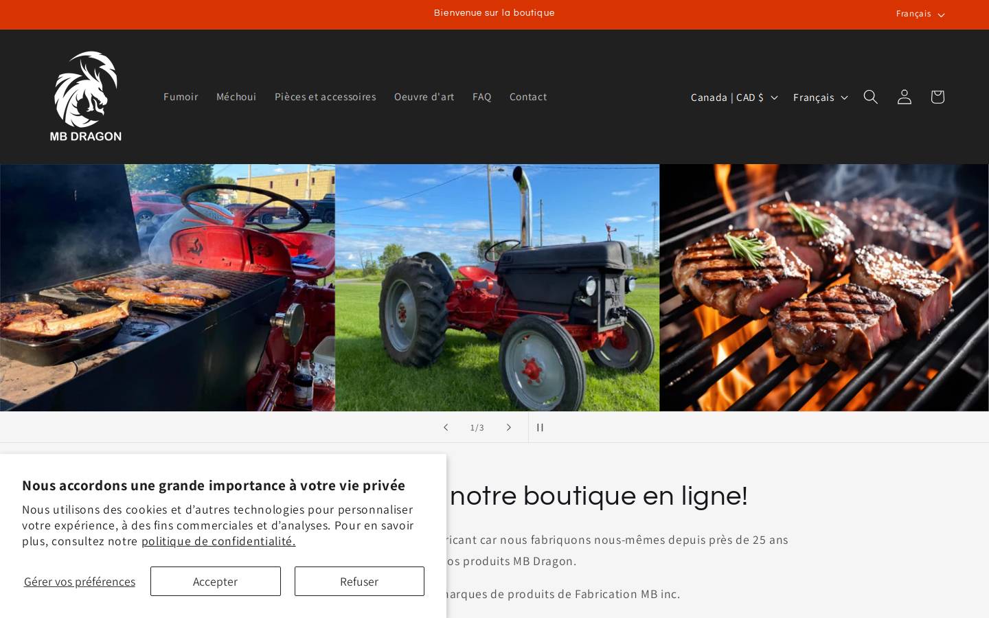 mbdragon.com homepage screenshot