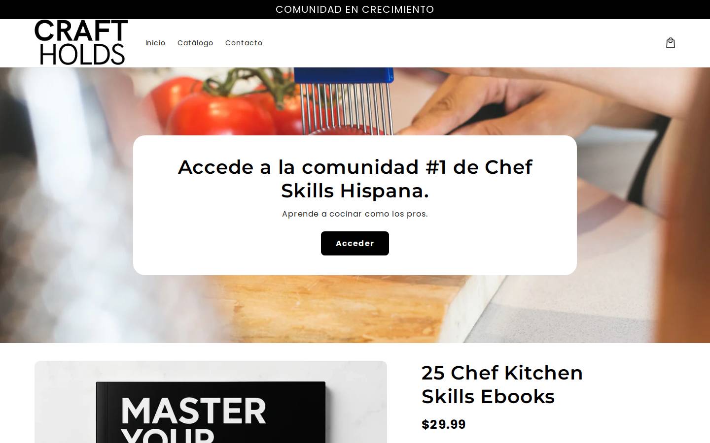 mediaimpulsagroup.com homepage screenshot