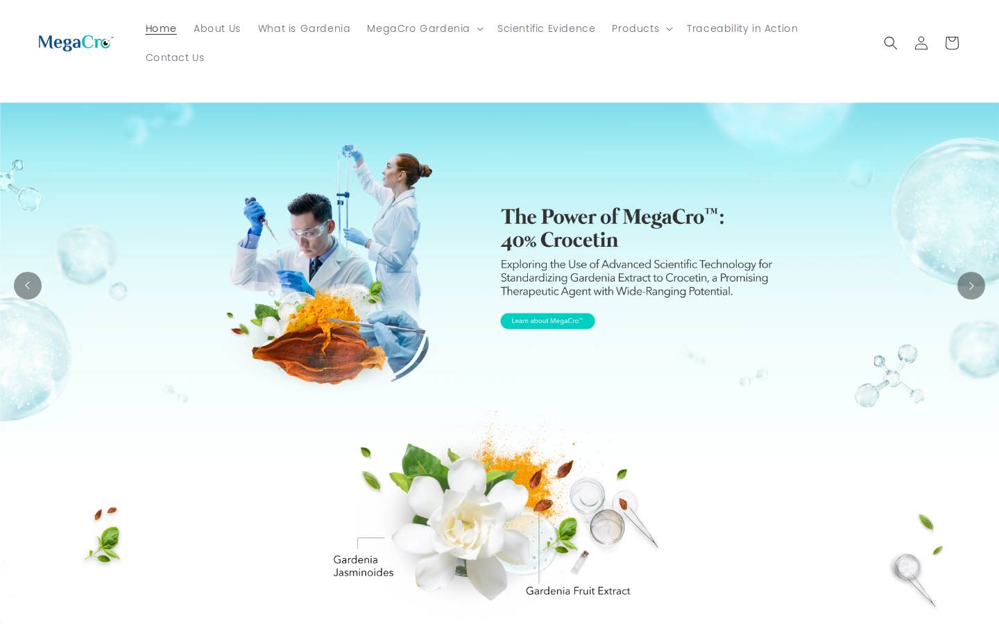 megacro.com homepage screenshot