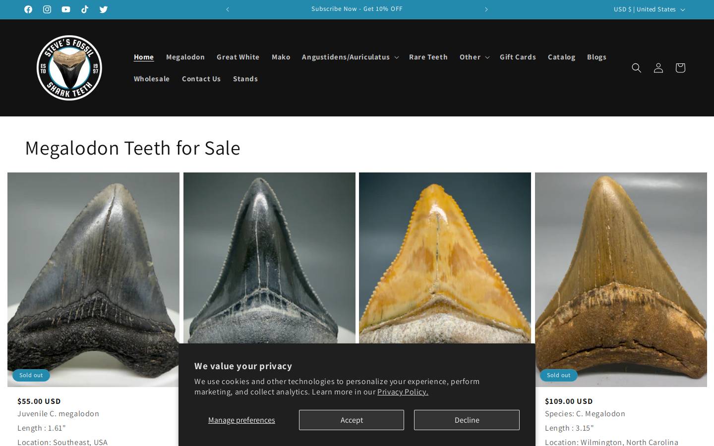 megalodonteeth.com homepage screenshot